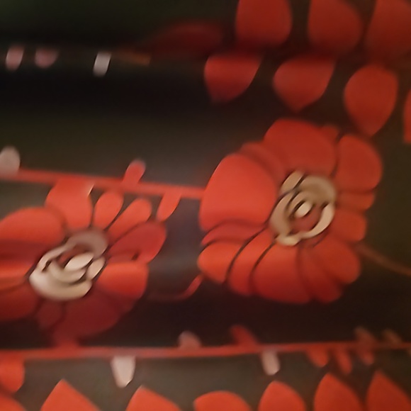 Black with red floral skirt 16w - Beautiful - Picture 3 of 5